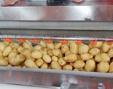 土豆毛輥清洗機